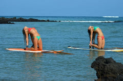 Paddleboarding and YogaPaws